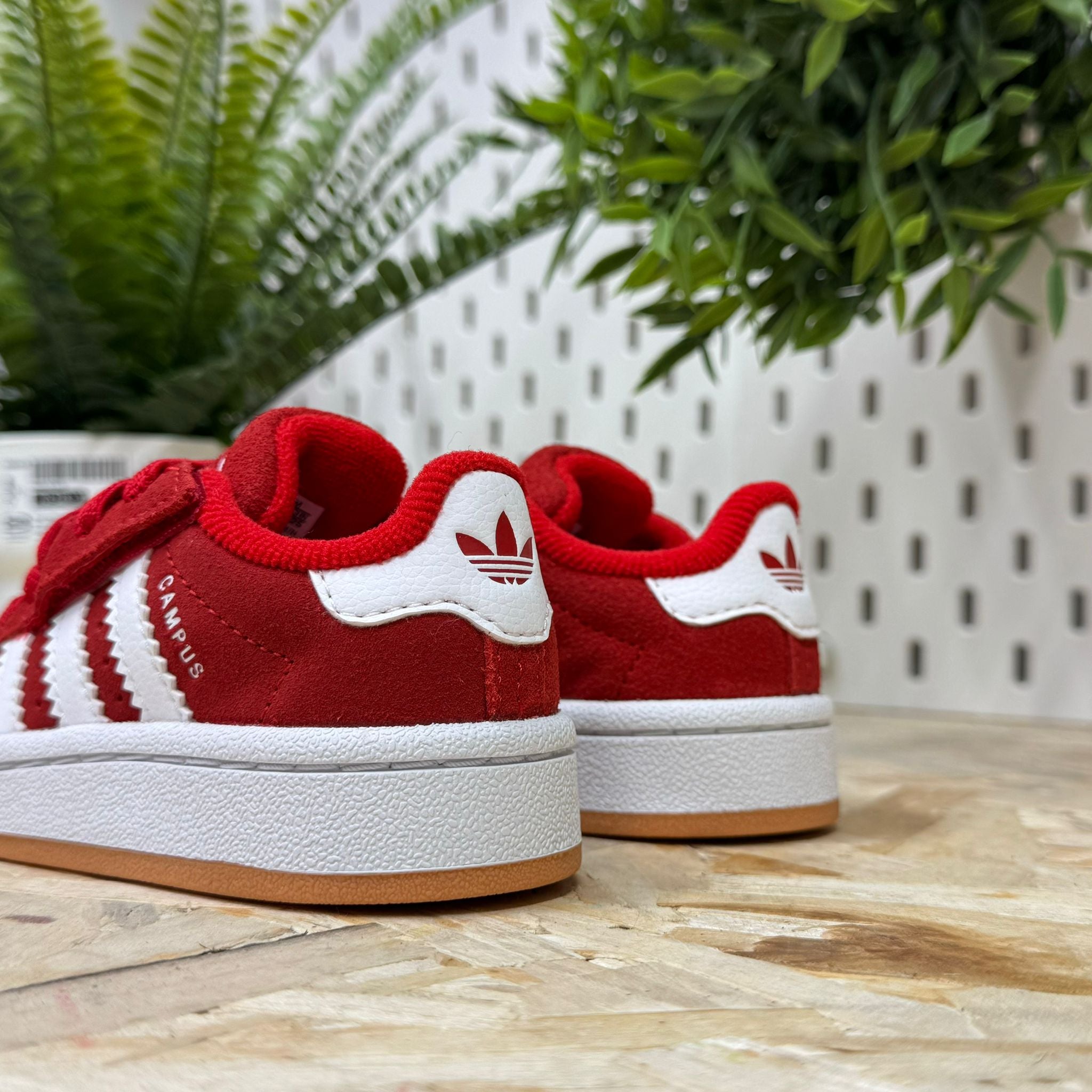 ADIDAS JI4336-36