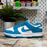 NIKE DUNK LOW NEXT NATURE DUSTY CACTUS