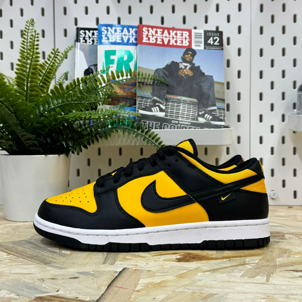 Nike Dunk Bajo